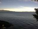./images/koeye/fitz-hugh/20200907/fitz-hugh20200907_095001.jpg