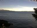 ./images/koeye/fitz-hugh/20200907/fitz-hugh20200907_095501.jpg