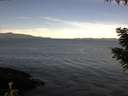 ./images/koeye/fitz-hugh/20200907/fitz-hugh20200907_100501.jpg
