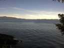 ./images/koeye/fitz-hugh/20200907/fitz-hugh20200907_101501.jpg