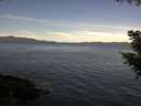 ./images/koeye/fitz-hugh/20200907/fitz-hugh20200907_102501.jpg