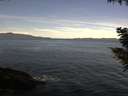 ./images/koeye/fitz-hugh/20200907/fitz-hugh20200907_103501.jpg