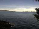 ./images/koeye/fitz-hugh/20200907/fitz-hugh20200907_104001.jpg