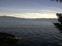 ./images/koeye/fitz-hugh/20200907/fitz-hugh20200907_104502.jpg