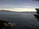 ./images/koeye/fitz-hugh/20200907/fitz-hugh20200907_105502.jpg