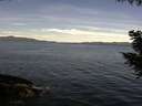 ./images/koeye/fitz-hugh/20200907/fitz-hugh20200907_111002.jpg