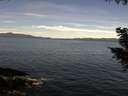 ./images/koeye/fitz-hugh/20200907/fitz-hugh20200907_111502.jpg
