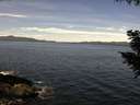 ./images/koeye/fitz-hugh/20200907/fitz-hugh20200907_112502.jpg