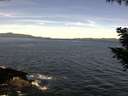./images/koeye/fitz-hugh/20200907/fitz-hugh20200907_114002.jpg