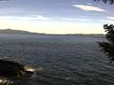 ./images/koeye/fitz-hugh/20200907/fitz-hugh20200907_120501.jpg