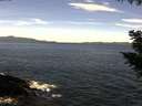 ./images/koeye/fitz-hugh/20200907/fitz-hugh20200907_121001.jpg