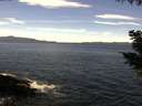 ./images/koeye/fitz-hugh/20200907/fitz-hugh20200907_122001.jpg