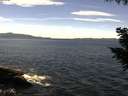./images/koeye/fitz-hugh/20200907/fitz-hugh20200907_122501.jpg