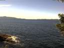 ./images/koeye/fitz-hugh/20200907/fitz-hugh20200907_130501.jpg