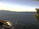 ./images/koeye/fitz-hugh/20200907/fitz-hugh20200907_131001.jpg