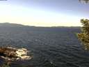 ./images/koeye/fitz-hugh/20200907/fitz-hugh20200907_132501.jpg