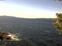 ./images/koeye/fitz-hugh/20200907/fitz-hugh20200907_133501.jpg