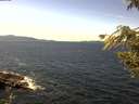 ./images/koeye/fitz-hugh/20200907/fitz-hugh20200907_134002.jpg