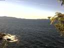 ./images/koeye/fitz-hugh/20200907/fitz-hugh20200907_135502.jpg