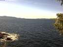 ./images/koeye/fitz-hugh/20200907/fitz-hugh20200907_140002.jpg