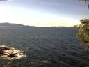 ./images/koeye/fitz-hugh/20200907/fitz-hugh20200907_140502.jpg