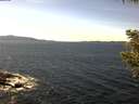 ./images/koeye/fitz-hugh/20200907/fitz-hugh20200907_141502.jpg
