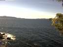 ./images/koeye/fitz-hugh/20200907/fitz-hugh20200907_142002.jpg