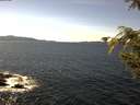 ./images/koeye/fitz-hugh/20200907/fitz-hugh20200907_142502.jpg