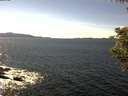 ./images/koeye/fitz-hugh/20200907/fitz-hugh20200907_143502.jpg