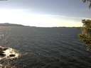 ./images/koeye/fitz-hugh/20200907/fitz-hugh20200907_144002.jpg