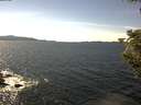 ./images/koeye/fitz-hugh/20200907/fitz-hugh20200907_144501.jpg