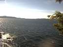 ./images/koeye/fitz-hugh/20200907/fitz-hugh20200907_145501.jpg