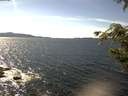 ./images/koeye/fitz-hugh/20200907/fitz-hugh20200907_150501.jpg