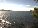 ./images/koeye/fitz-hugh/20200907/fitz-hugh20200907_151001.jpg