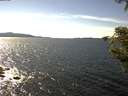 ./images/koeye/fitz-hugh/20200907/fitz-hugh20200907_151501.jpg