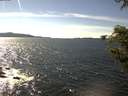 ./images/koeye/fitz-hugh/20200907/fitz-hugh20200907_152001.jpg