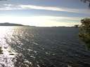 ./images/koeye/fitz-hugh/20200907/fitz-hugh20200907_153501.jpg