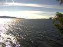 ./images/koeye/fitz-hugh/20200907/fitz-hugh20200907_154001.jpg