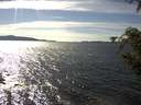 ./images/koeye/fitz-hugh/20200907/fitz-hugh20200907_155501.jpg