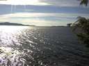./images/koeye/fitz-hugh/20200907/fitz-hugh20200907_160001.jpg