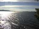 ./images/koeye/fitz-hugh/20200907/fitz-hugh20200907_160501.jpg