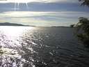 ./images/koeye/fitz-hugh/20200907/fitz-hugh20200907_161001.jpg