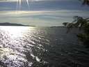 ./images/koeye/fitz-hugh/20200907/fitz-hugh20200907_161501.jpg