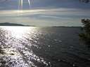 ./images/koeye/fitz-hugh/20200907/fitz-hugh20200907_162002.jpg