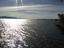 ./images/koeye/fitz-hugh/20200907/fitz-hugh20200907_162501.jpg