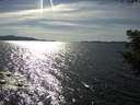 ./images/koeye/fitz-hugh/20200907/fitz-hugh20200907_163502.jpg