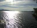 ./images/koeye/fitz-hugh/20200907/fitz-hugh20200907_164502.jpg