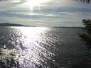 ./images/koeye/fitz-hugh/20200907/fitz-hugh20200907_165002.jpg