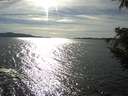 ./images/koeye/fitz-hugh/20200907/fitz-hugh20200907_165502.jpg