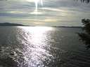 ./images/koeye/fitz-hugh/20200907/fitz-hugh20200907_170502.jpg